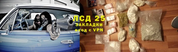 шишки Магас