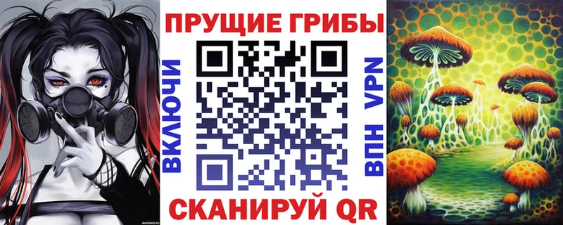 Псилоцибиновые грибы прущие грибы  Купить где  Коломна 